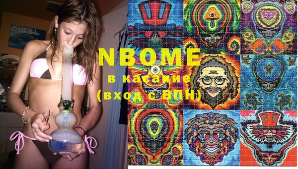 ПСИЛОЦИБИНОВЫЕ ГРИБЫ Валдай
