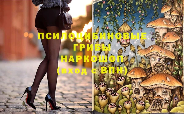 метадон Няндома