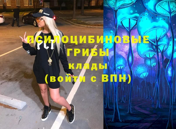 метадон Няндома