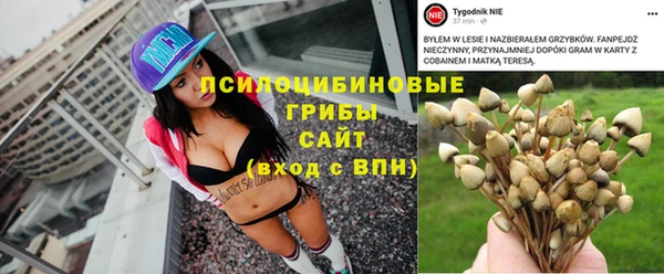 дмт Нязепетровск
