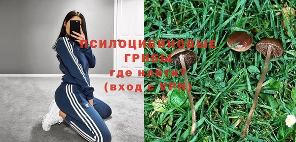 дмт Нязепетровск